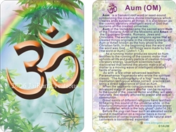 WA-061 Aum (OM) - Wallet Altar