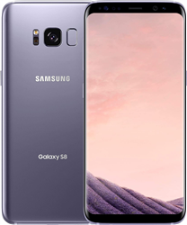 Level 1 Screen Burn Samsung G950u 64GB Galaxy S8 Gray