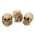 See Hear Speak No Evil Skulls Trio