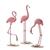 Flamingo Trio Tabletop Decor