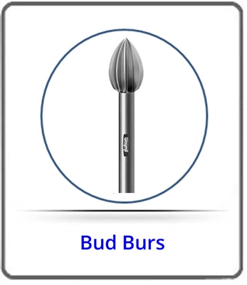 BUD BURS