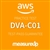 DVA-C01: AWS Certified Developer - Associate practice test