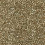 RJR Danscapes Naturals 1416-003 Half Yard