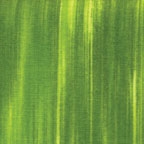Benartex Fleurish Lime 5619-40 Half yard