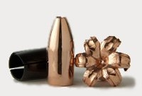 Barnes Spit-Fire MZ 285 grains Muzzleloader Bullets for .50 caliber 15 pack