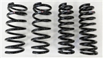 RS*R Lowering Springs Super Down Honda Fit 2008 to 2011 - GE6