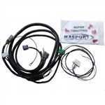 Hasport K-series Conversion Harness 96-00 Civic