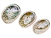 Wholesale Red Abalone Shell