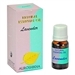 Wholesale Auroshikha Lavender Essential Oil - 1/3FL.OZ.