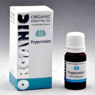 Wholesale Auroshikha Peppermint Organic Essential Oil