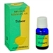 Wholesale Auroshikha Vetivert Natural Essential Oil 10ML - 1/3FL.OZ.