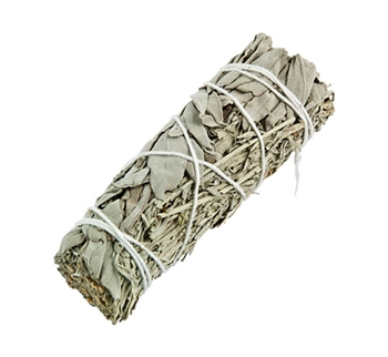 Wholesale Blue Sage with White Sage Smudge