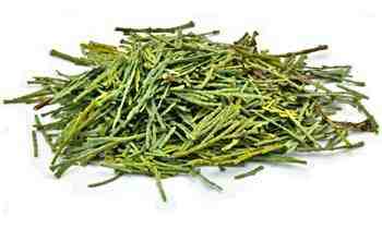 Cedar Leaves & Clusters (1/2 pound pack)