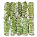 Wholesale White Sage & Eucalyptus Smudge Sticks