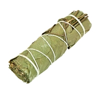 Wholesale Eucalyptus Smudge Sticks