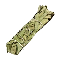 EUCL02<br><br>Eucalyptus Smudge Stick - 5"L (Small)
