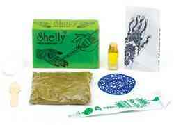 Wholesale Shelly Henna Mehndi Kit