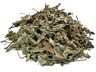 Wholesale Peruvian Muna Muna Herb