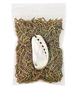 Wholesale Juniper Leaves and Abalone Set