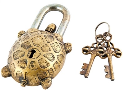 Wholesale Turtle Lock