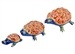 Wholesale Turtle Statue Set