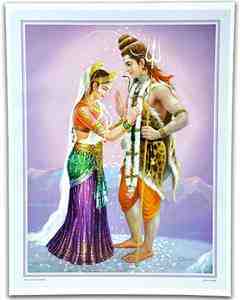 POS241<br><br> Shiva Parvati Wedding Poster on Cardboard - 15"x20"