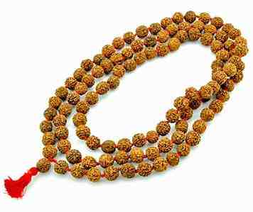 Wholesale  Rudraksha Prayer Mala