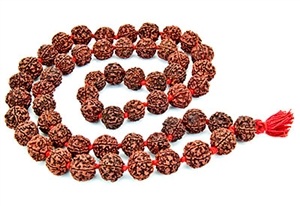 Wholesale Rudraksha Prayer Mala