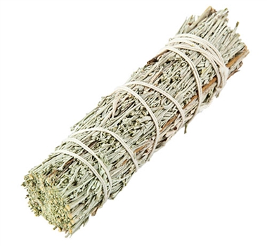 Wholesale Shasta Sage