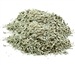 Wholesale Shasta Sage