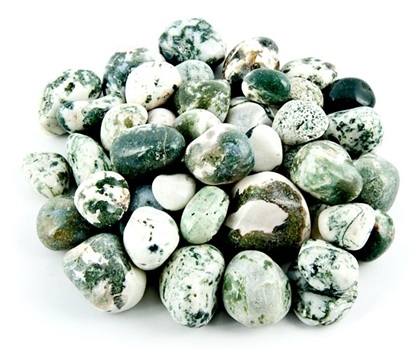 Wholesale Tree Agate Tumbled Stones
