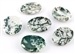 Wholesale Tree Agate Worry Stone