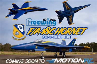 Freewing Blue Angels F/A-18C Hornet 90mm EDF Jet