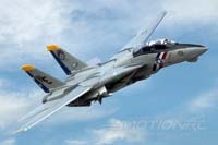 Freewing F-14 Tomcat Twin 80mm EDF Jet - PNP