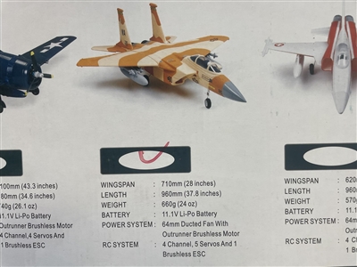 FMS F-15 FIGHTER SKY CAMO WINGSPAN 710 mm PNP - FMSF15SC710P