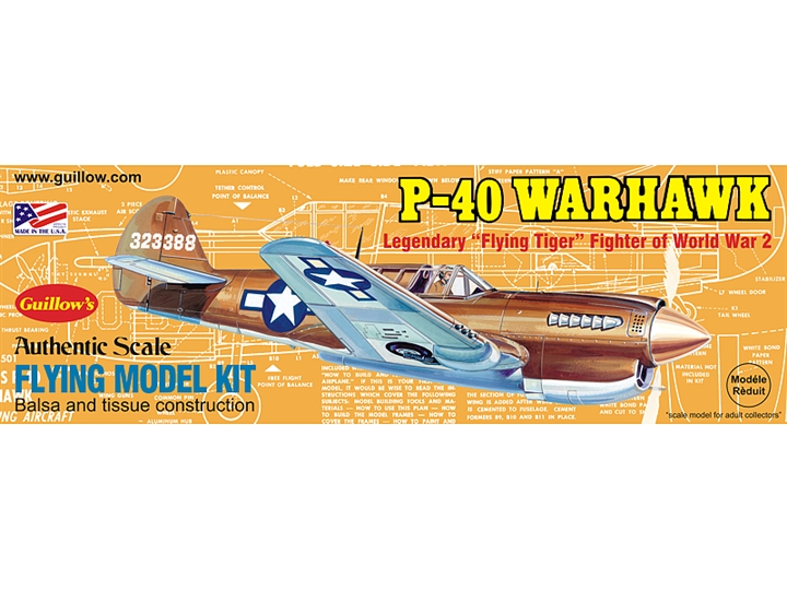 Curtiss P40 Warhawk GUI501