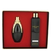 Lady Gaga Fame Black Fluid Perfume