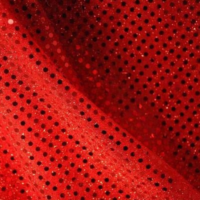 Knit Sequin Fabric