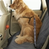 High Road Wag'nRide Dog Seat Belt Tether for Cars