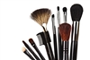 Professional Brush Set