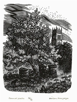 Signed original wood engraving by Miriam Macgregor