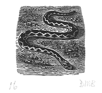 The Engraver's Cut (Diana Bloomfield): Snake