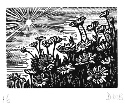 The Engraver's Cut (Diana Bloomfield): Daisies