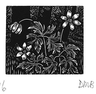 The Engraver's Cut (Diana Bloomfield): Anemones