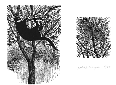 Signed wood engraving by Yvonne Skargon