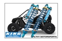 Polaris RZR Pro XP King Shocks Images