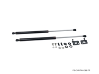 P2M TOYOTA AE86 COROLLA CARBON ENGINE HOOD DAMPER