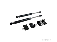 P2M TOYOTA GR86  (2022+)  CARBON SERIES ENGINE HOOD DAMPER