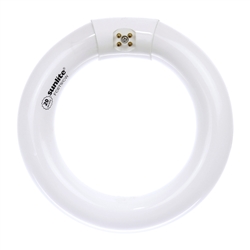 Sunlite, 05009 FC6T9/CW, Cool White, 6" 20 Watt T9 Circular Circline Fluorescent Tube 4 Pin Base Light Bulb