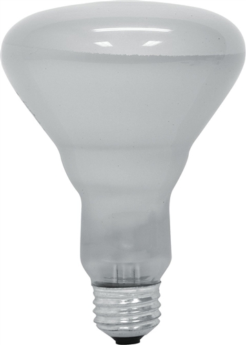 GE Lighting, 20331, 65-Watt, 610-Lumen, R30, Miser Reflector Flood Light  Bulb, Soft White
